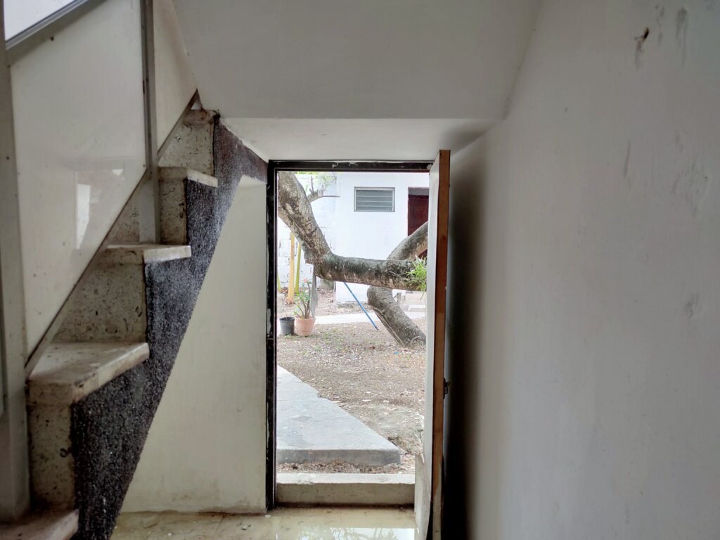 IMG20210602153403